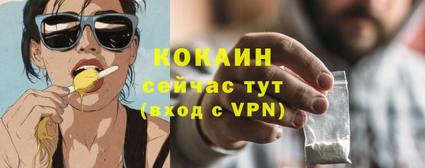 дживик Абинск