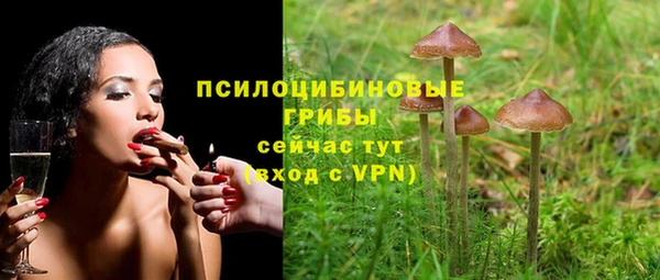 героин Алзамай